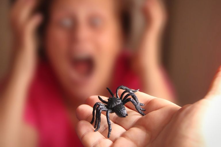 Schwarze Spinne auf einer Hand vor einer panisch schreienden Person mit Spinnenphobie.